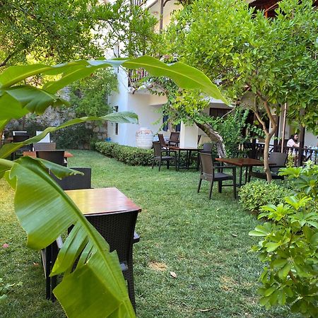 אקיאקה Totelya Hotel מראה חיצוני תמונה