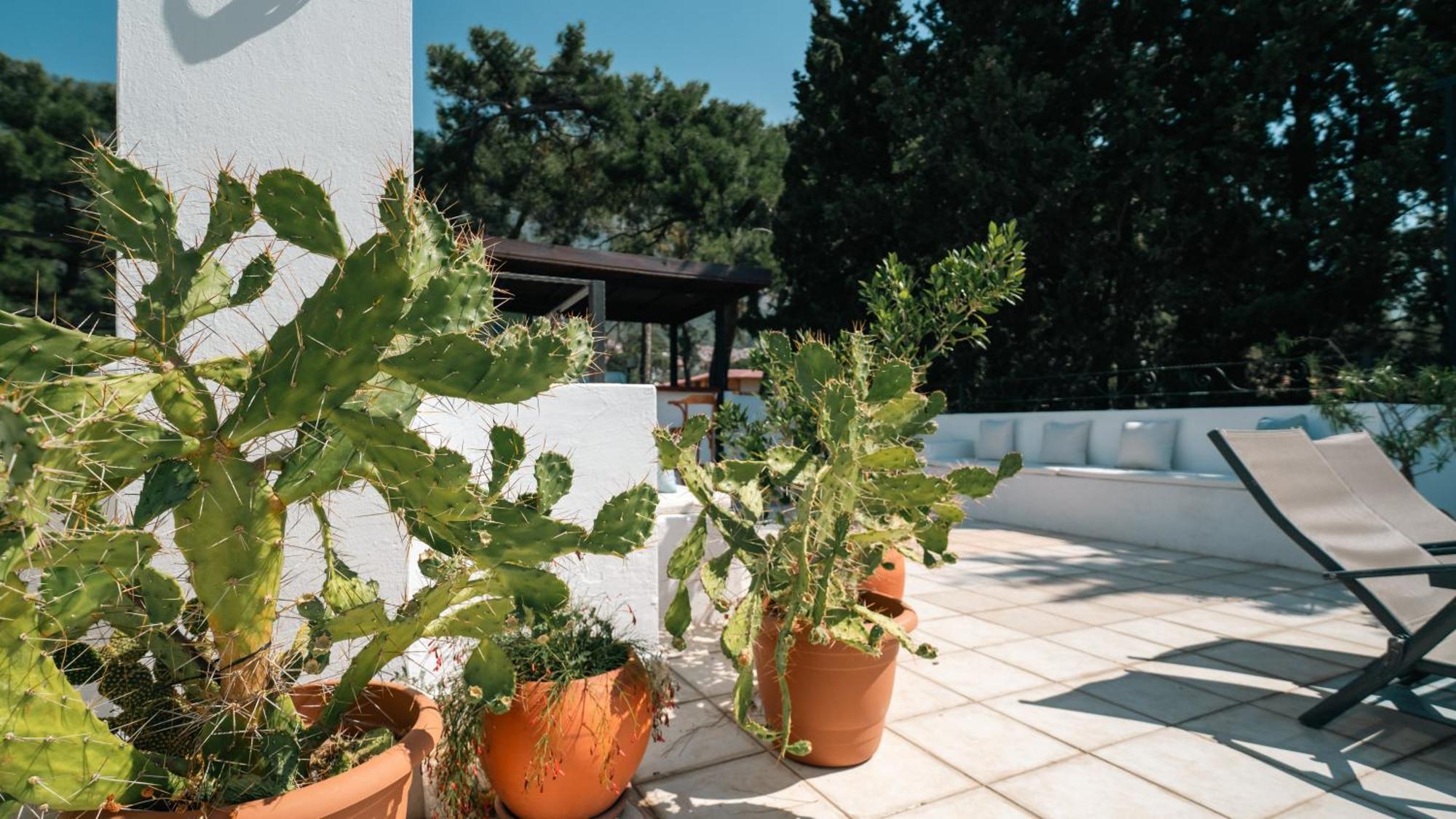 אקיאקה Totelya Hotel מראה חיצוני תמונה