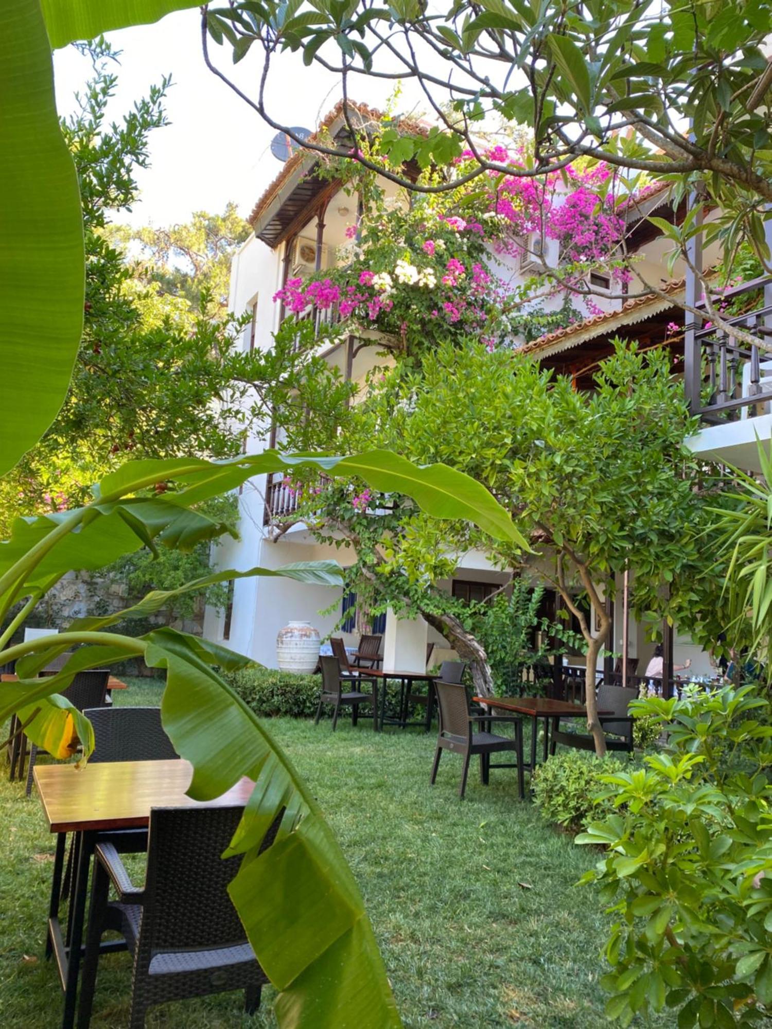 אקיאקה Totelya Hotel מראה חיצוני תמונה