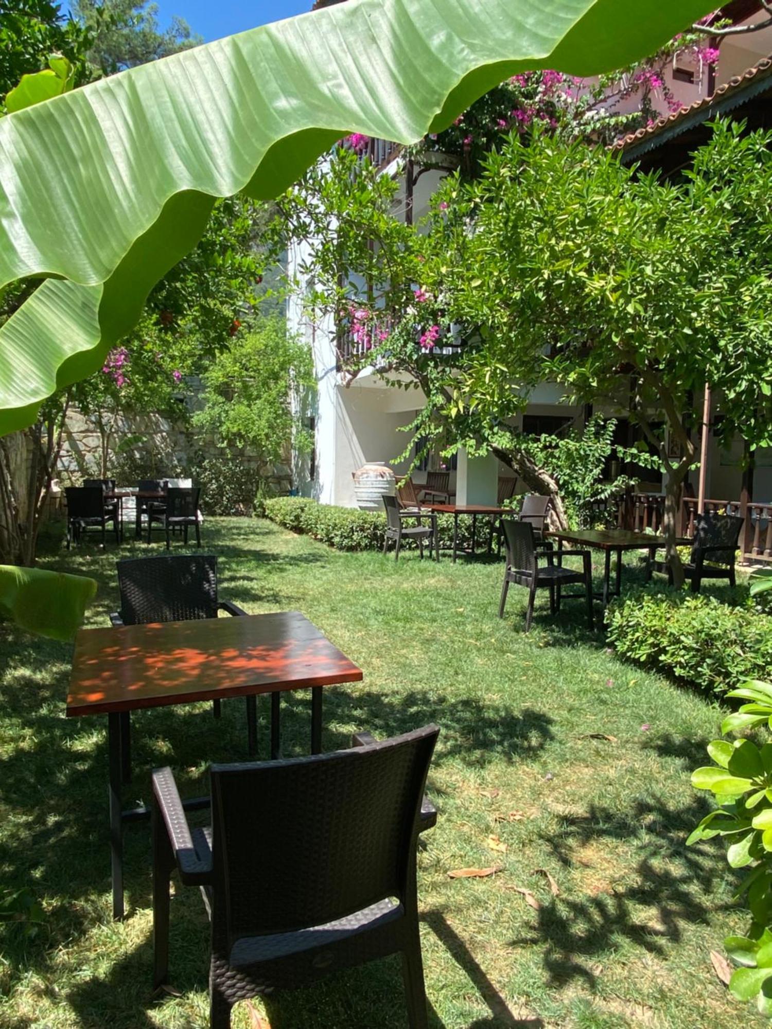 אקיאקה Totelya Hotel מראה חיצוני תמונה