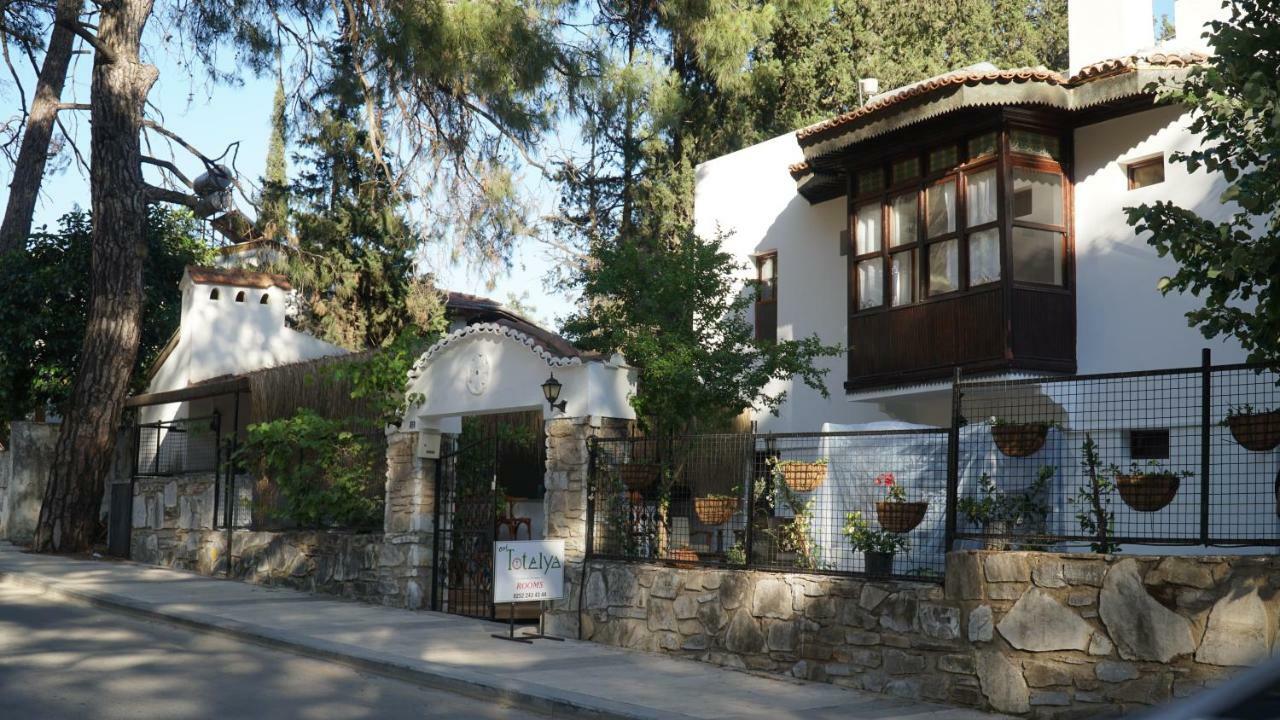 אקיאקה Totelya Hotel מראה חיצוני תמונה