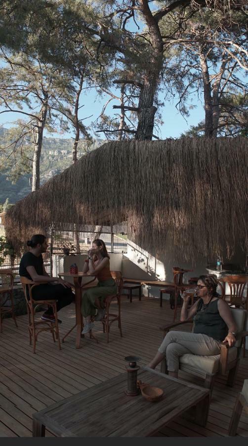 אקיאקה Totelya Hotel מראה חיצוני תמונה