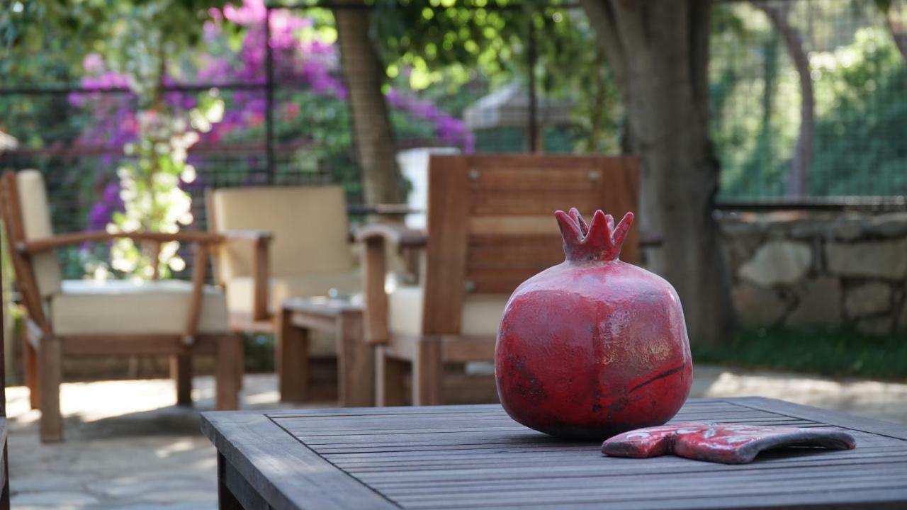 אקיאקה Totelya Hotel מראה חיצוני תמונה